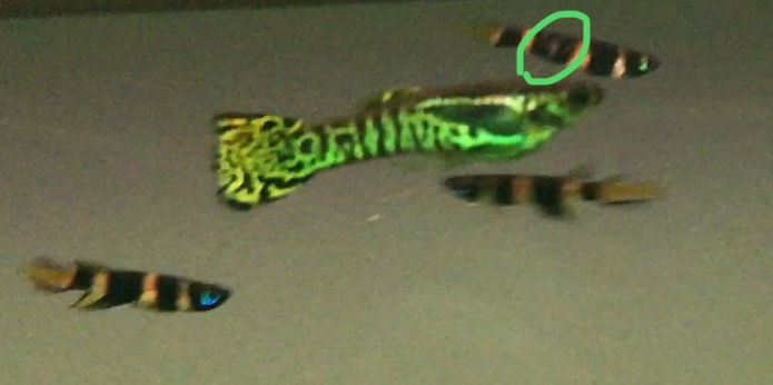 89F7E26B-73AF-4187-9CE1-7B79EB443A64