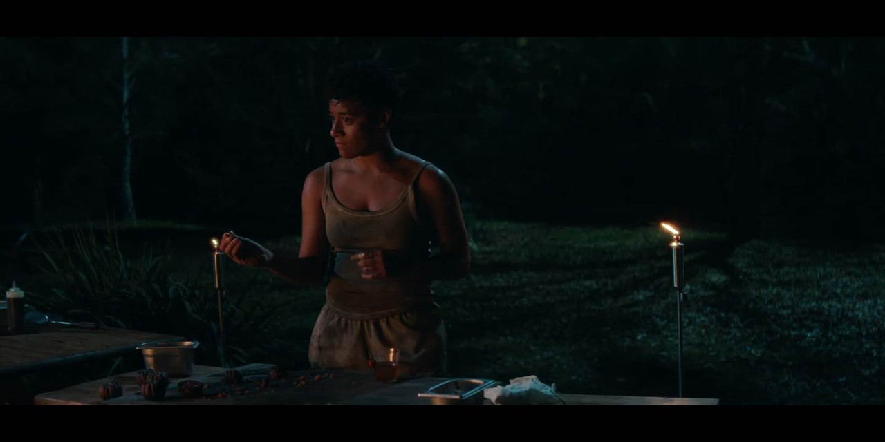 House of Spoils 2024 WebRip [Hindi + English] 480p, 720p ESub Screenshot