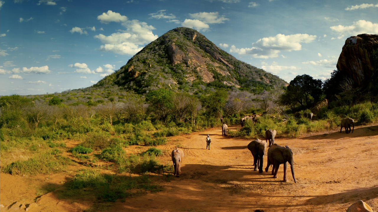 vlcsnap-2023-02-06-15h07m04s693