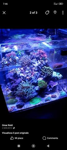 Screenshot 2026 01 02 07 46 24 147 com facebook katana