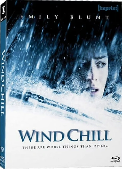 Wind Chill (2007) Dual Audio [Hindi-English] BluRay H264 AAC 1080p 720p 480p ESub