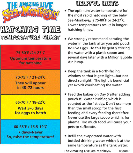 seamonkeys-hatching-temperature