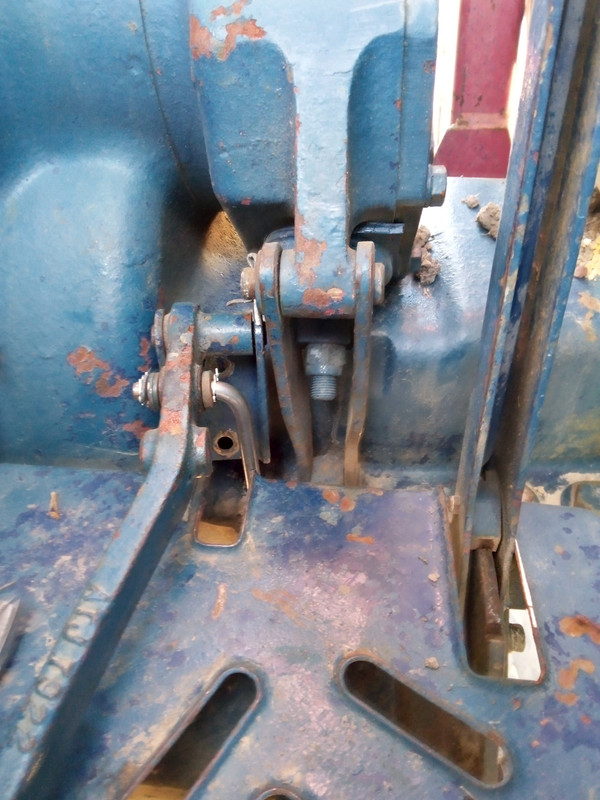 IMG_20211031_175532_3