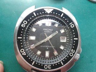 75233471_10220954656562747_1605464135363985408_o