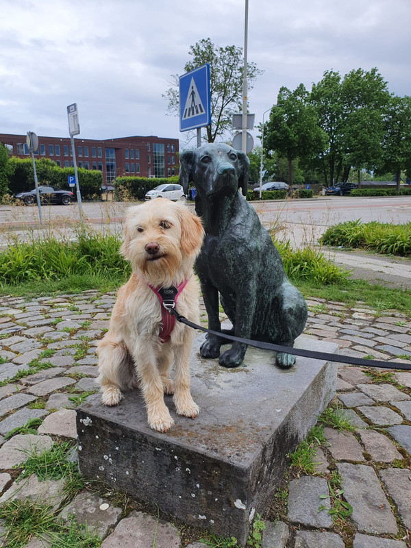 WhatsApp Image 2021-05-22 at 21.38.20