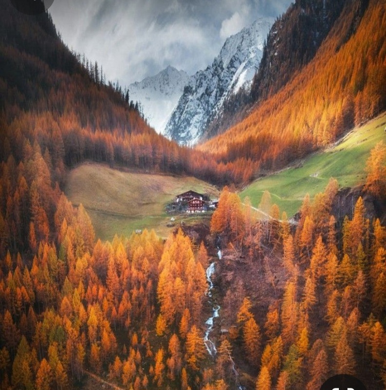 Screenshot_20231128_181212_Pinterest