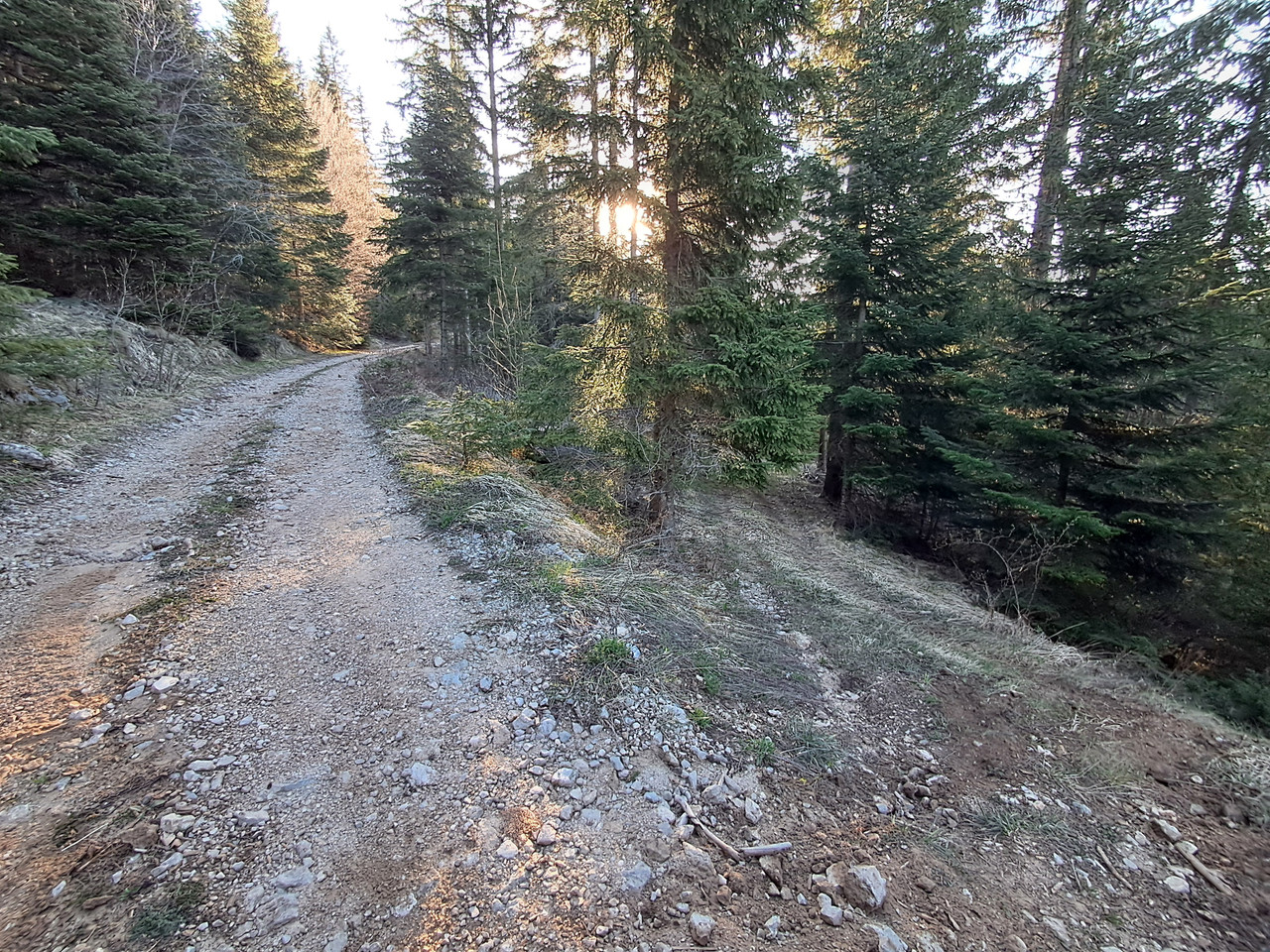 20260425-071008.jpg