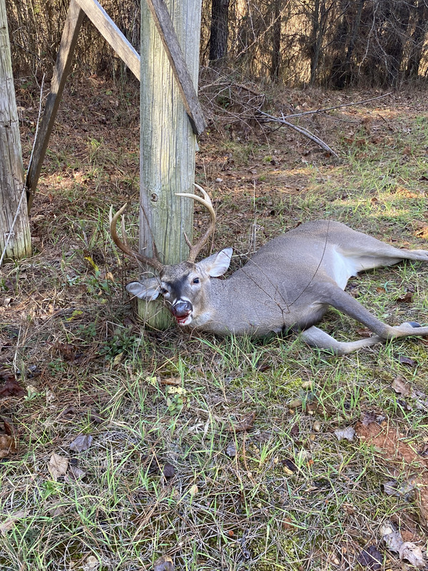 FE0F2752-E5E8-4528-BC37-99B3BAD5C3BB