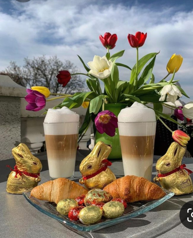 Screenshot_20230417_173108_Pinterest