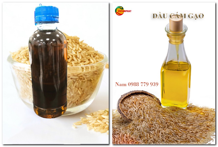 dau-cam-gao-rice-brand-oil.jpg