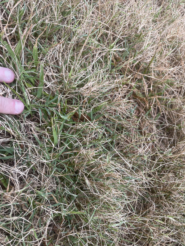 03AB705C-BBAE-42BB-AF6A-75E4F998D195