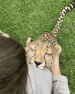 daily-gifdump-3386-30.gif