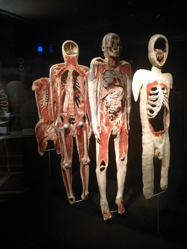 72962944_453819682007670_5365876129506787328_n