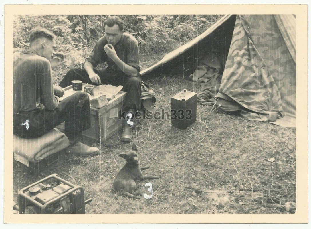 !Foto Panzermänner der 18. Pz. Div. mit Hund 1. Baur 2. Bradatsch 3. Hund MINSK