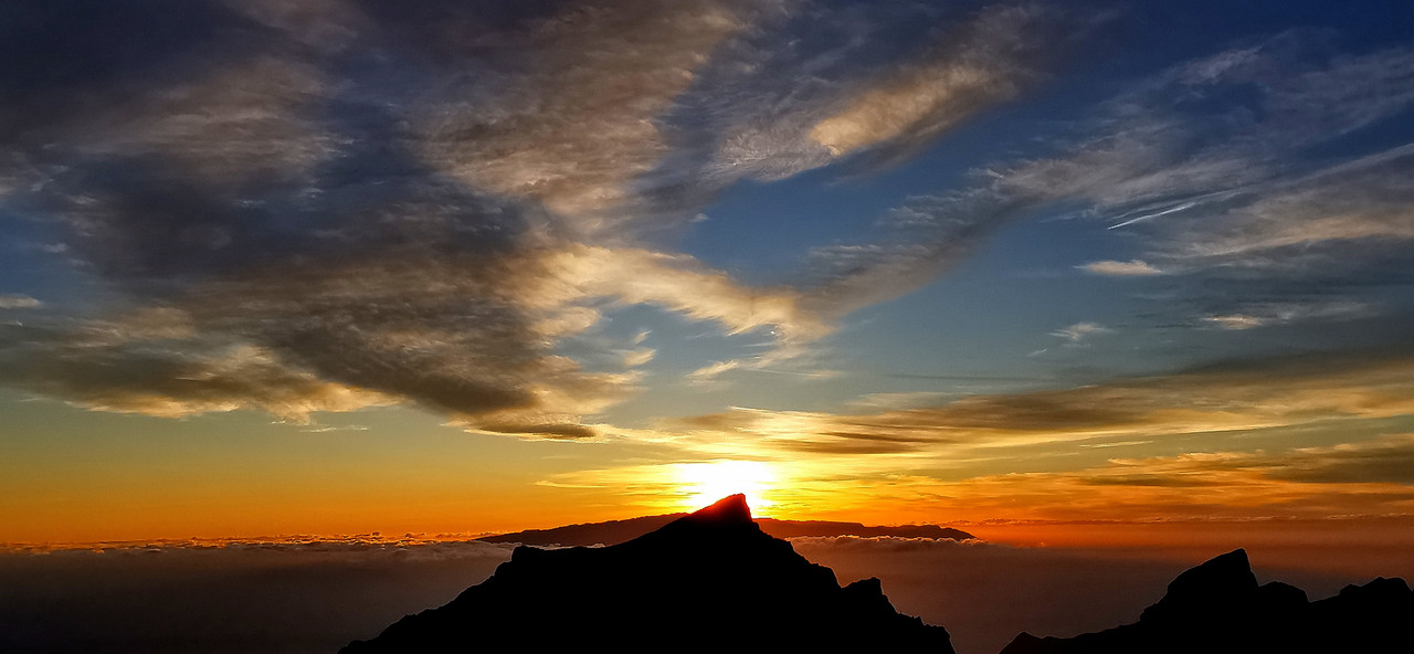 https://i.postimg.cc/T2H1mHnv/IMG-20240112-182442-edit-331447320221819.jpg