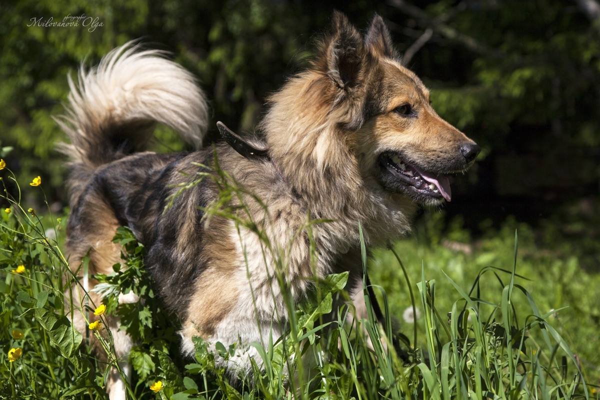 61987238_362160584440894_2124842534625607680_o