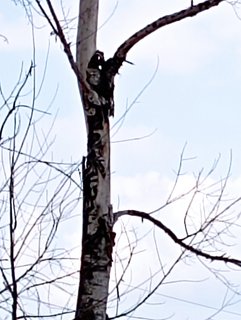 IMG-20220820-160915