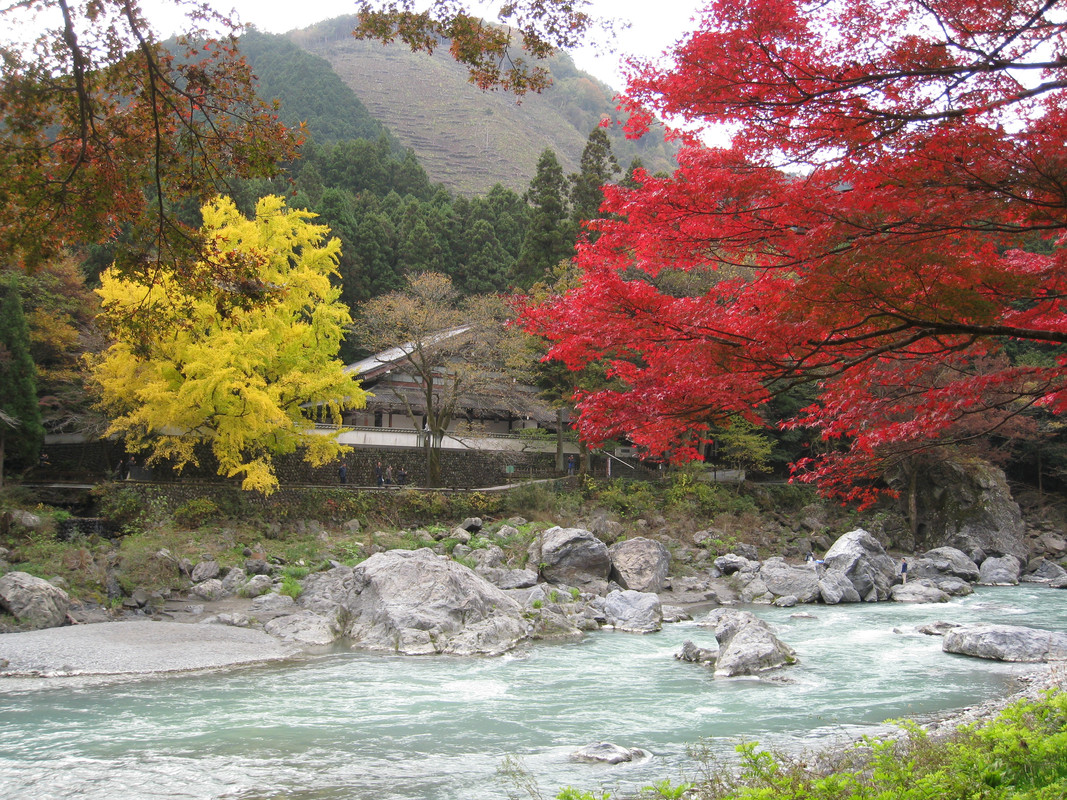 IMG 9565 — Postimages