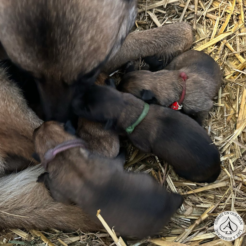 83AF1D6C-632A-4DAC-9739-0C96688F197C