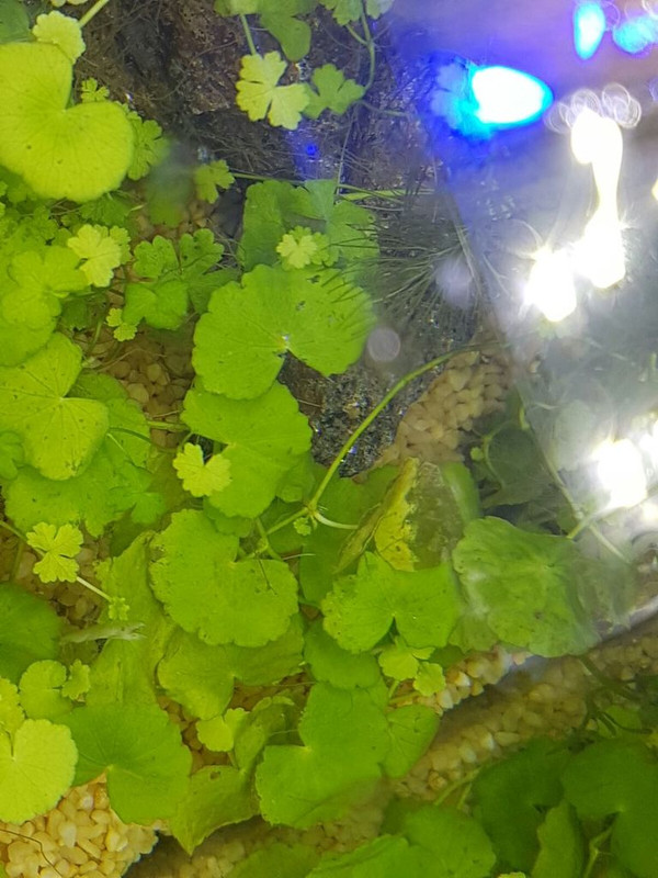 WhatsApp Image 2016-09-28 at 16.06.35 (3)