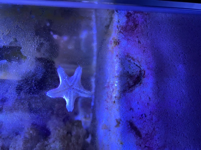 75141CD0-D8D3-42D2-976C-046E605DCE3A