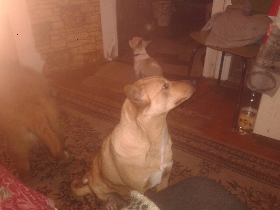 18D56151-2162-477D-9042-137EC8587210