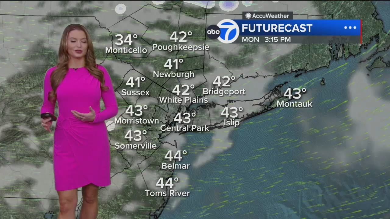 Eyewitness News Mornings at 10_20250113_15001600.ts_snapshot_17.04.448