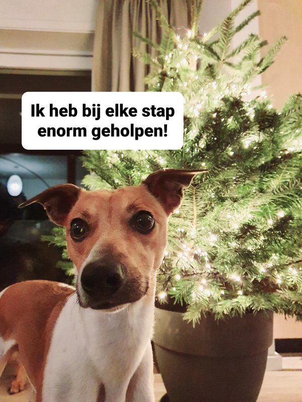 Afbeelding