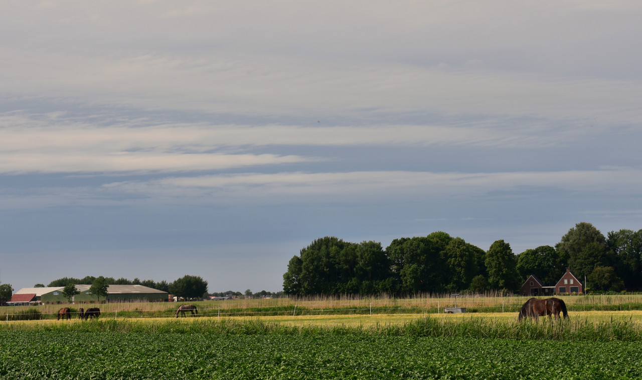 DSC_0036AMB18-6-22 2