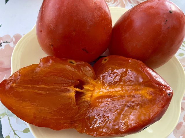 [Image: 20-FF4-E7-E-7111-4-C66-AEBB-71-A90-BF83-E5-A.jpg]