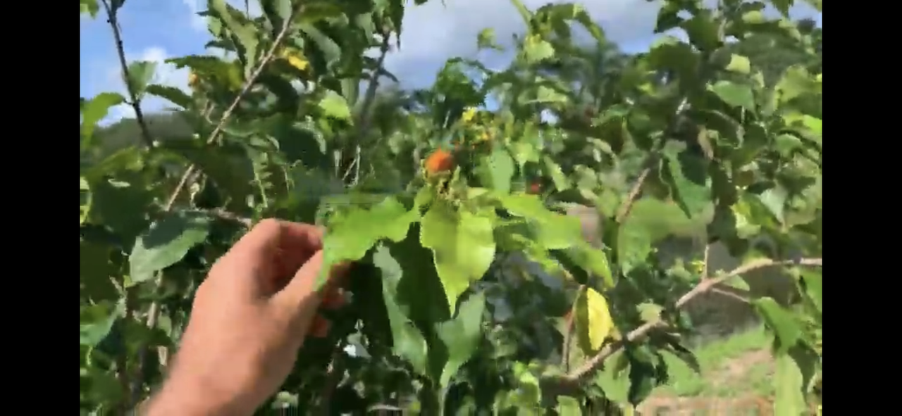 43A64E0C-00B0-4A8F-8383-23A72781E8E6