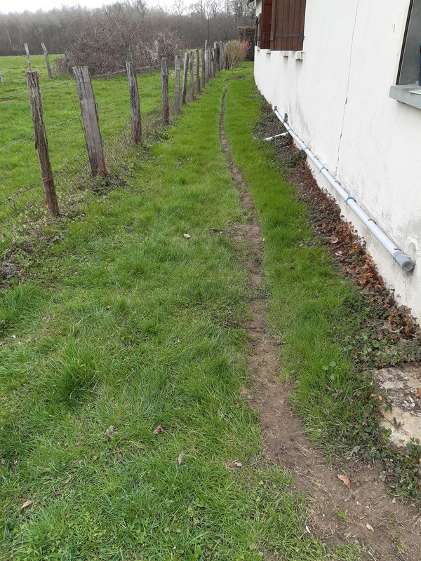 [Image: 20210303-111321.jpg]