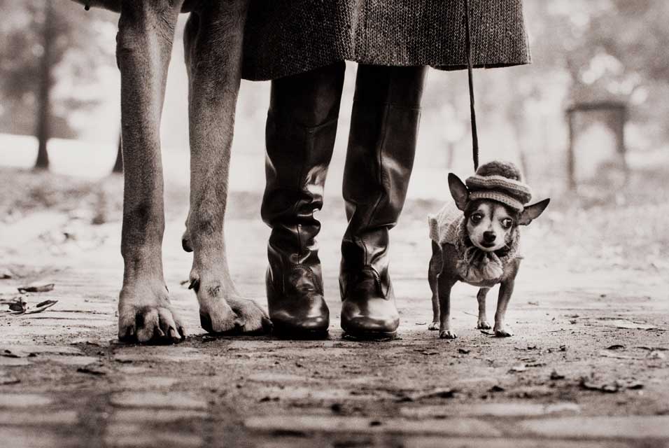 felix-gladys-and-rover-elliott-erwitt-ne