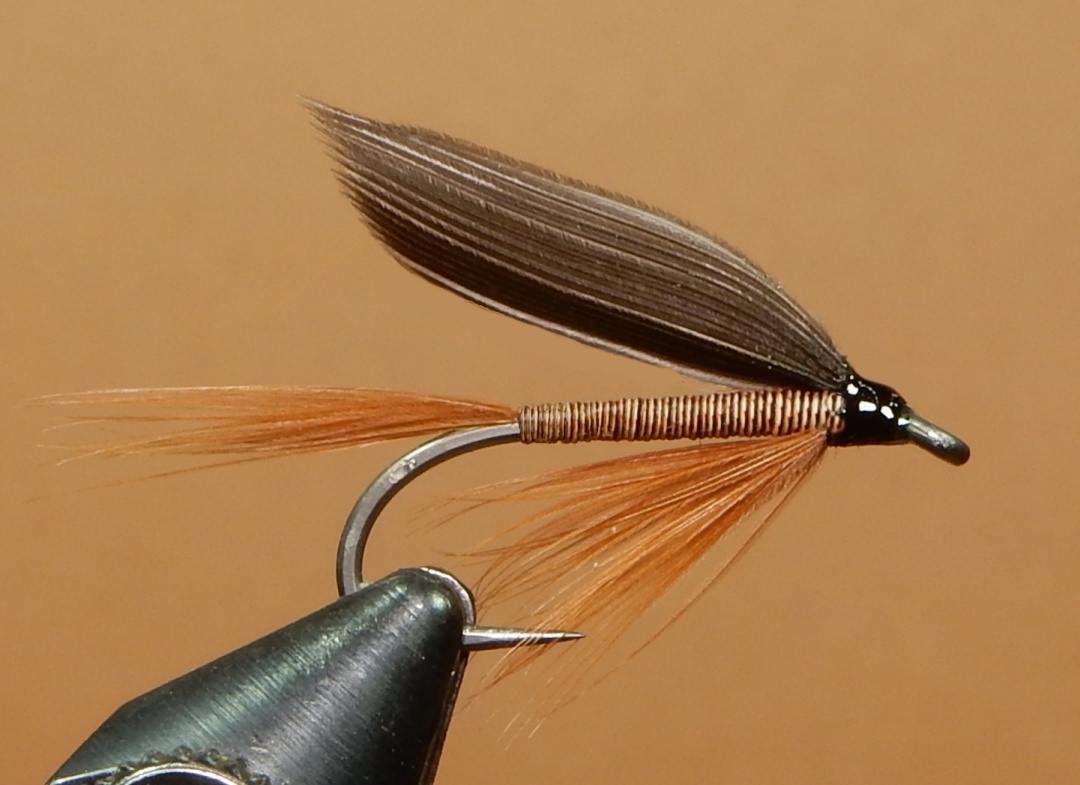 Red-Quill-1080.jpg