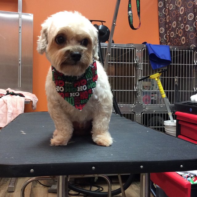 6DBA68E7-0C6F-4656-99BF-FBB26AFD695D