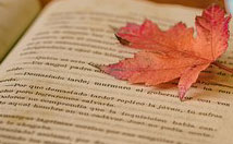 [Image: leaves-1076307-340.jpg]