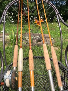 processed-83E6AE30-B6AF-4823-AD3A-C548E5EB1909