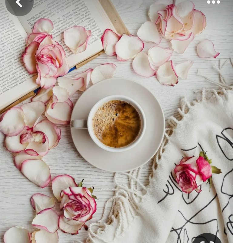 Screenshot_20240424_230302_Pinterest