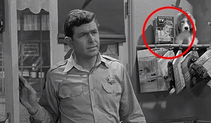 ANDY-GRIFFITH-2-FOTOR.jpg