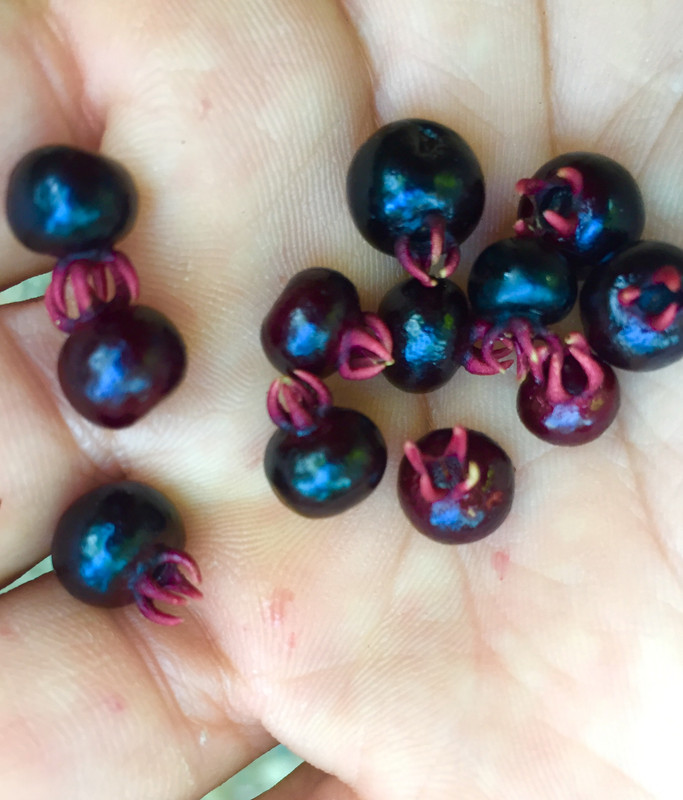 834AAA38-8017-4426-8D6A-F008AA734074