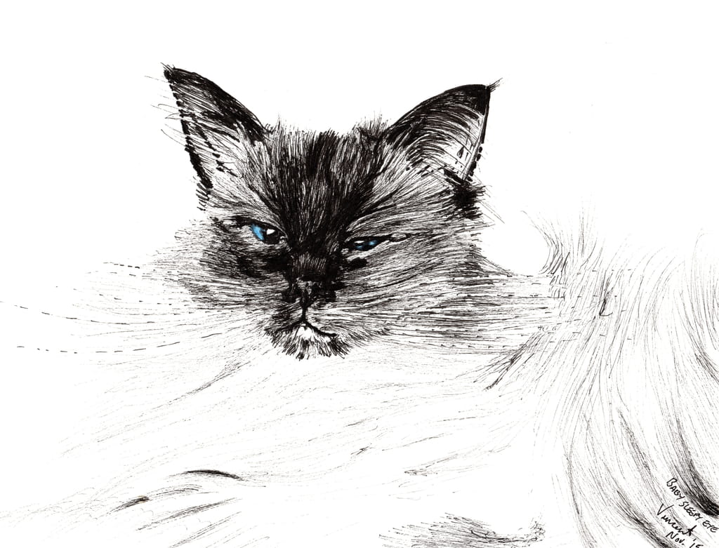 Vincent-Alexander-Booth-Sleepy-eye-2015-ink-on-paper-Meister-Drucke-391089