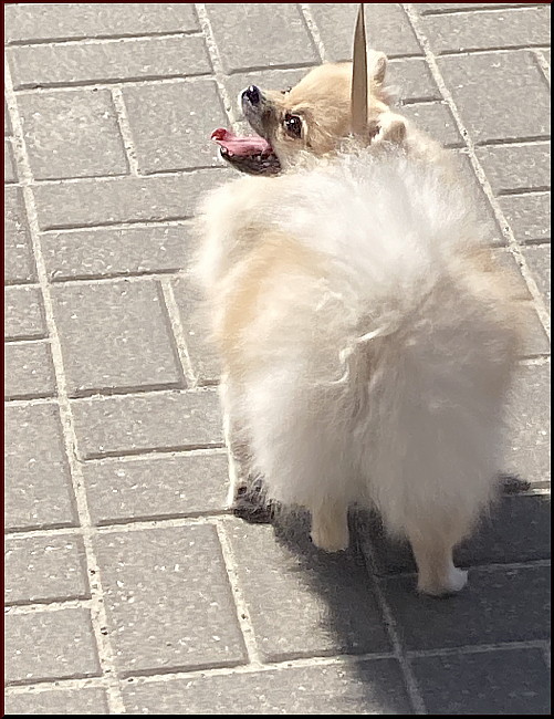 https://i.postimg.cc/T2KXF720/101.jpg