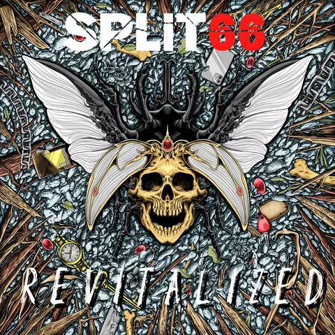 www.facebook.com/SplitSixty6