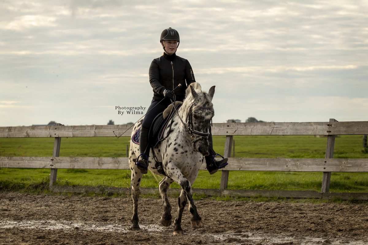 7F9ADA59-229A-4AC2-B5C6-88B006487632