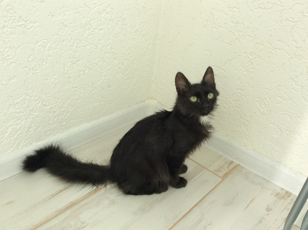 D330DA06-355A-46B7-B6B9-E6D02D294586