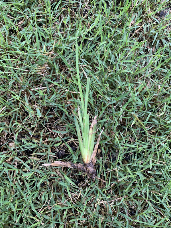 0861DC02-8E8C-44EC-BD6D-3E51373B7FAE