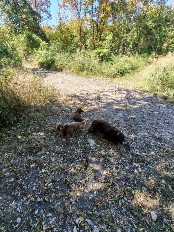 [Image: IMG-20250818-113137.jpg]