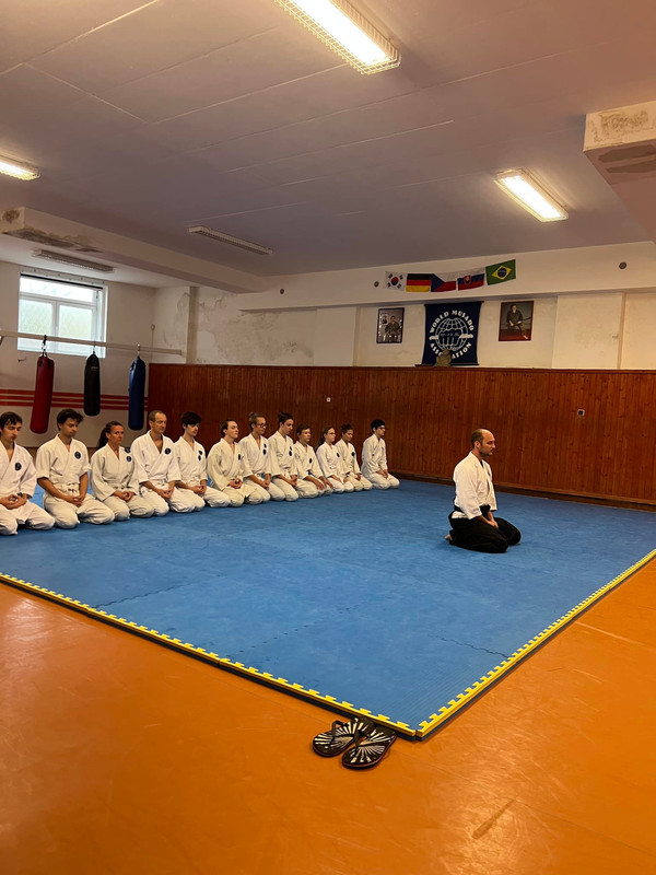Detail Aikido techniky
