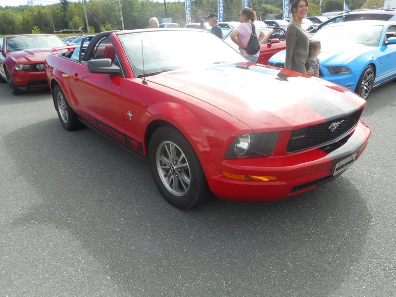 Rendez-Vous Mustang Cliche Auto Ford - 14 août 2022 Cliche2022-66