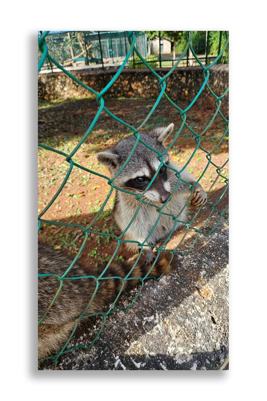 Юкатан. Неделя в декабре 2025